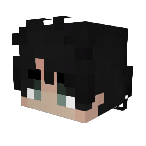hibiscusjelly Minecraft avatar head, 3D render