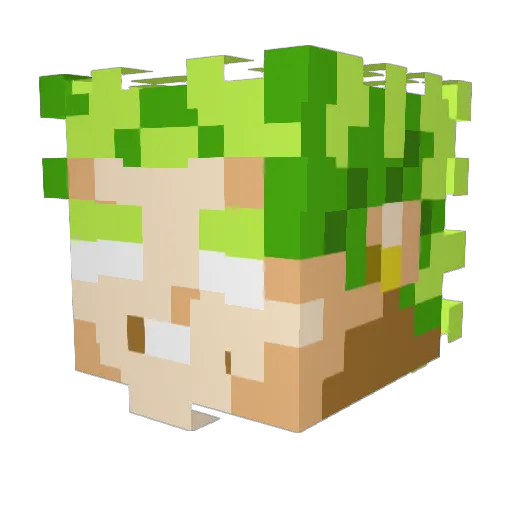 hiboux667 Minecraft avatar head, 3D render