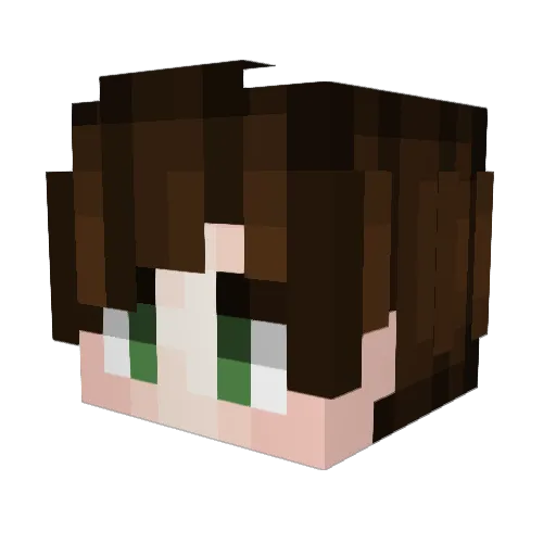 hiccup484 Minecraft avatar head, 3D render
