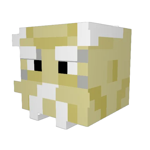 hicey Minecraft avatar head, 3D render