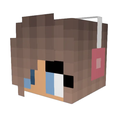hickans Minecraft avatar head, 3D render
