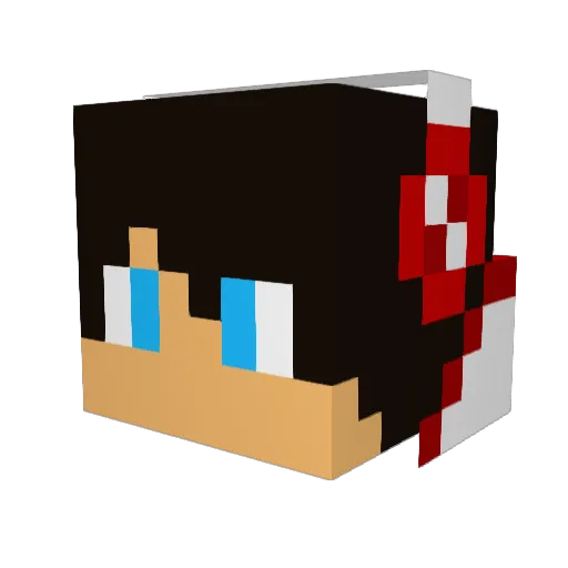 hickhack12 Minecraft avatar head, 3D render