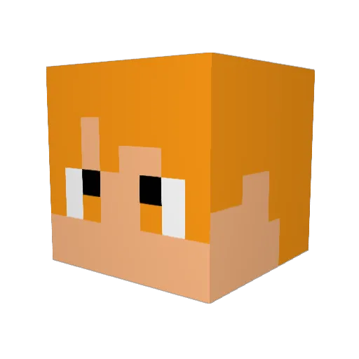 hidaru123 Minecraft avatar head, 3D render