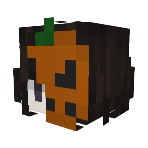 hiddenBeginner Minecraft avatar head, 3D render