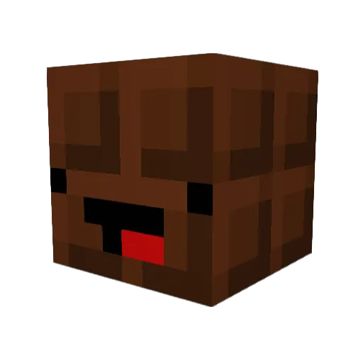 hiddenpoopsock Minecraft avatar head, 3D render
