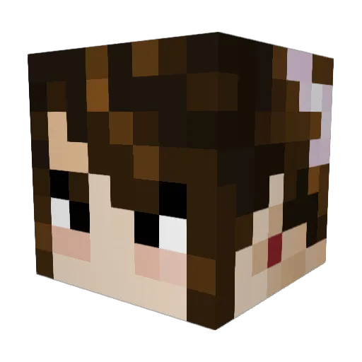 hiddmo Minecraft avatar head, 3D render