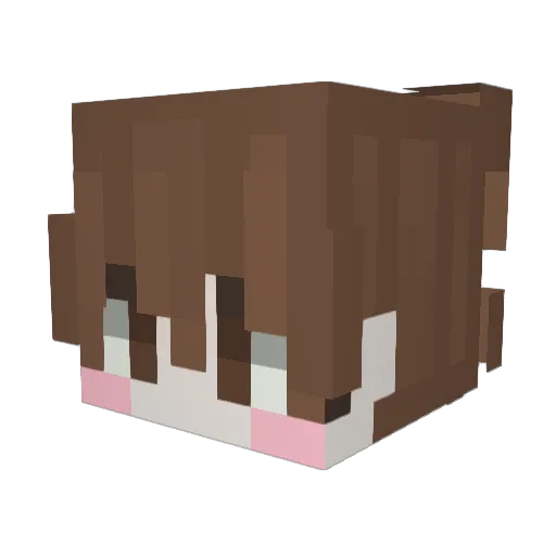 hiddq Minecraft avatar head, 3D render