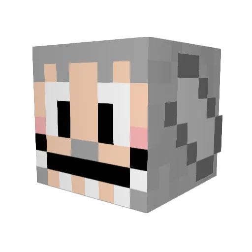 hide_on_business Minecraft avatar head, 3D render