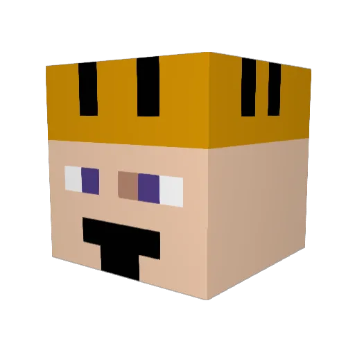 hidenADMIN Minecraft avatar head, 3D render
