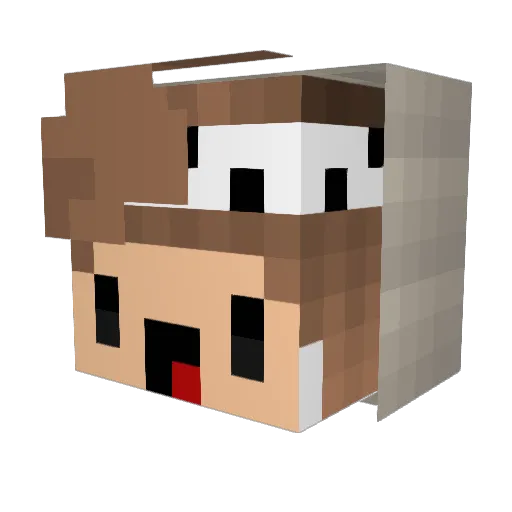 hiderali Minecraft avatar head, 3D render