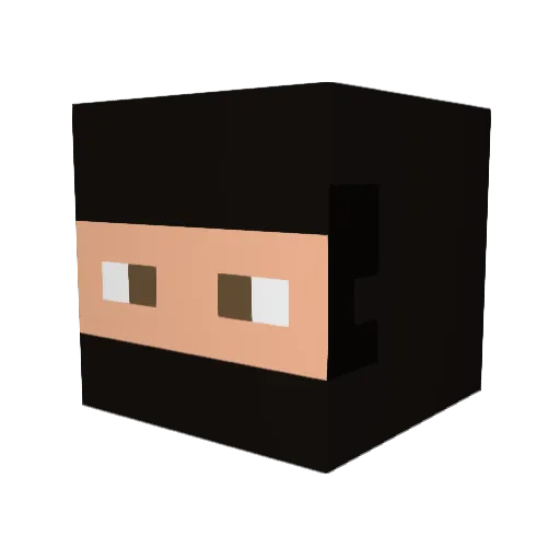 hidesan71 Minecraft avatar head, 3D render