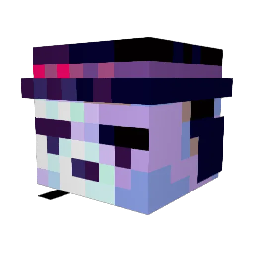 hidetrain1 Minecraft avatar head, 3D render