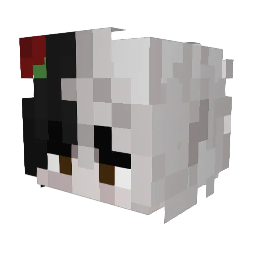hidik Minecraft avatar head, 3D render