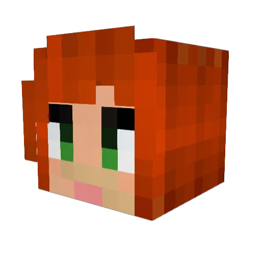 hidinapnut Minecraft avatar head, 3D render
