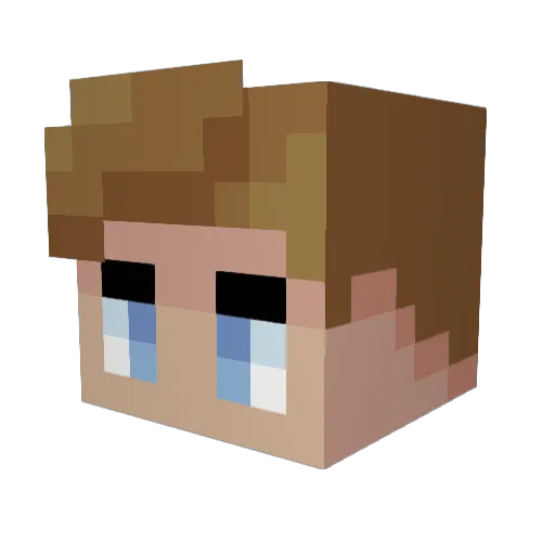 hidood Minecraft avatar head, 3D render