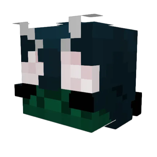 hidrocefalia Minecraft avatar head, 3D render