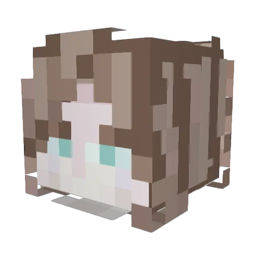 hiena113 Minecraft avatar head, 3D render