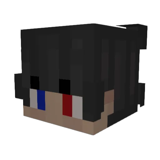 hierbenikdan Minecraft avatar head, 3D render