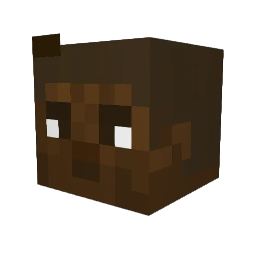 highguy1011 Minecraft avatar head, 3D render