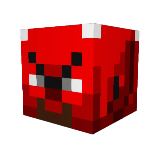 highwind11 Minecraft avatar head, 3D render