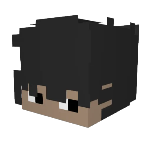higuy503 Minecraft avatar head, 3D render