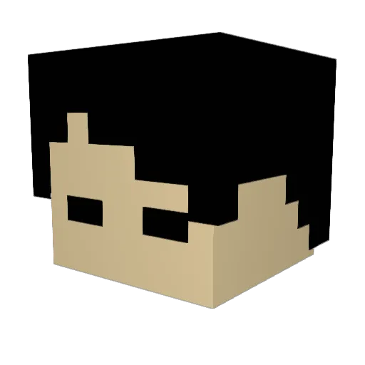 hiir4g1 Minecraft avatar head, 3D render