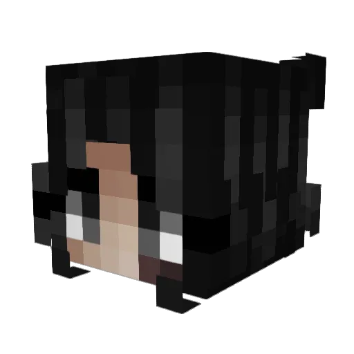hiishy Minecraft avatar head, 3D render