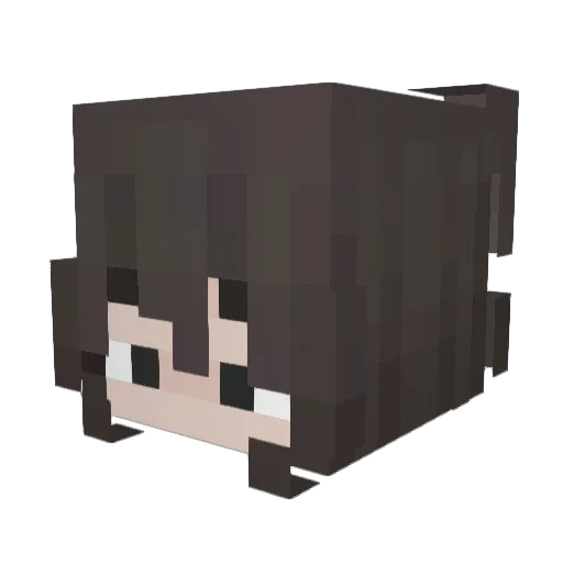hiitselle Minecraft avatar head, 3D render