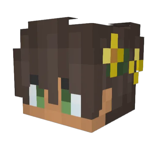 hikaaaru Minecraft avatar head, 3D render