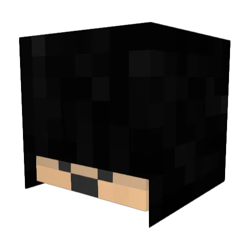 hikanagix Minecraft avatar head, 3D render