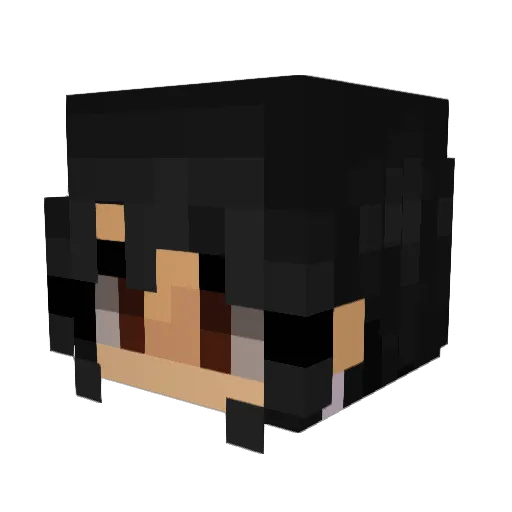 hikarats Minecraft avatar head, 3D render
