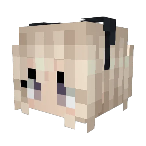hikari0120 Minecraft avatar head, 3D render