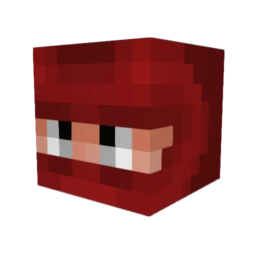 hikiLVL Minecraft avatar head, 3D render