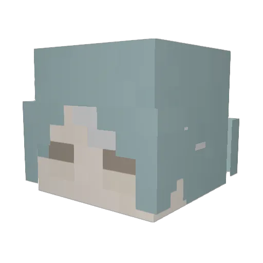 hikkakiller Minecraft avatar head, 3D render