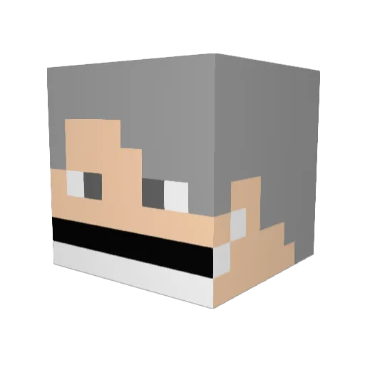 hiko314 Minecraft avatar head, 3D render