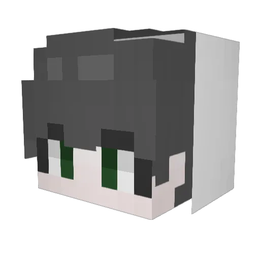 hikong321 Minecraft avatar head, 3D render