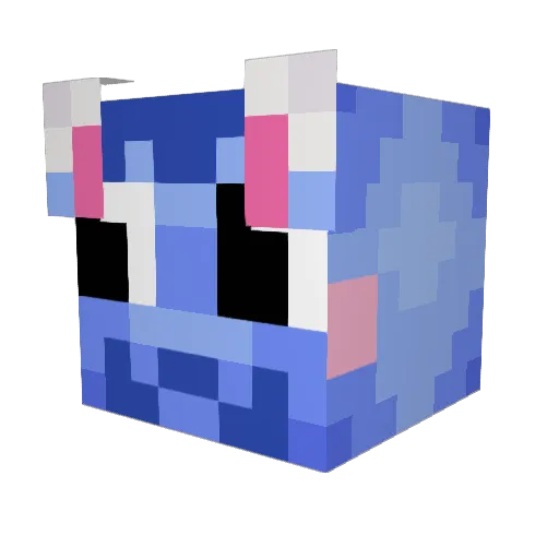 hilbillyjoe101 Minecraft avatar head, 3D render