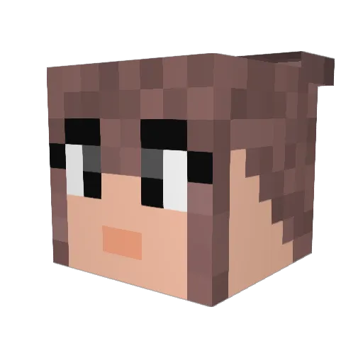 hilili98 Minecraft avatar head, 3D render