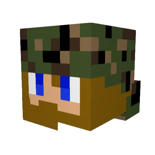 hillbillyboyrice Minecraft avatar head, 3D render