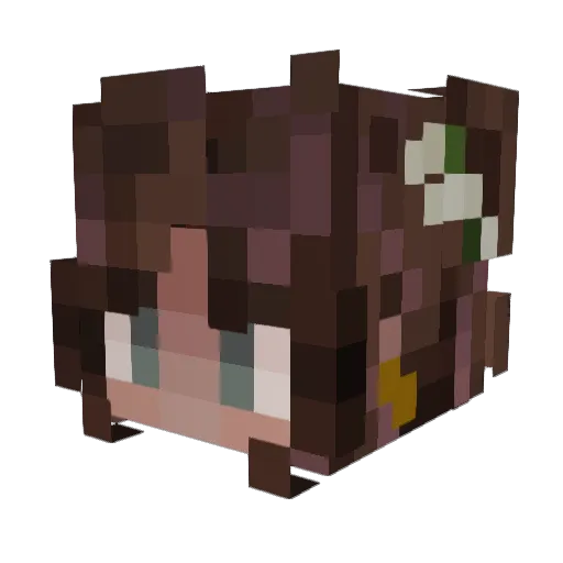 hilly_segel Minecraft avatar head, 3D render