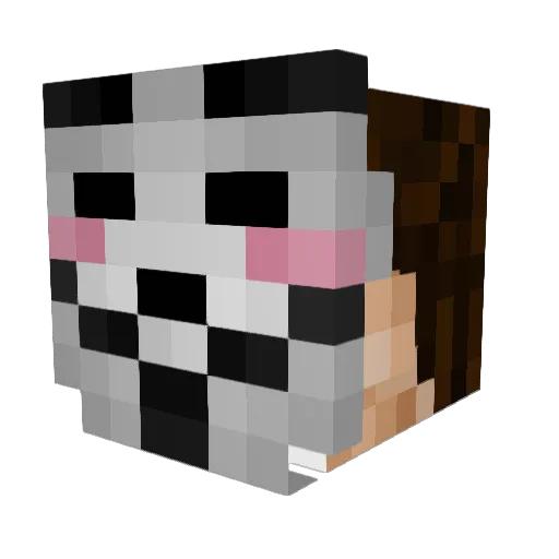 hillzgeo1 Minecraft avatar head, 3D render
