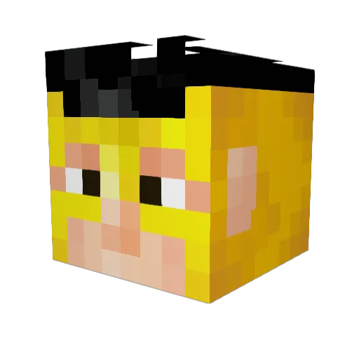 himalayansalt2 Minecraft avatar head, 3D render