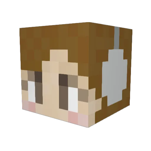 himeashikaga Minecraft avatar head, 3D render