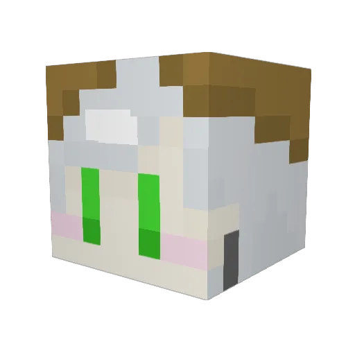 himemura Minecraft avatar head, 3D render