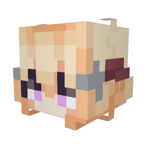himhim1105 Minecraft avatar head, 3D render