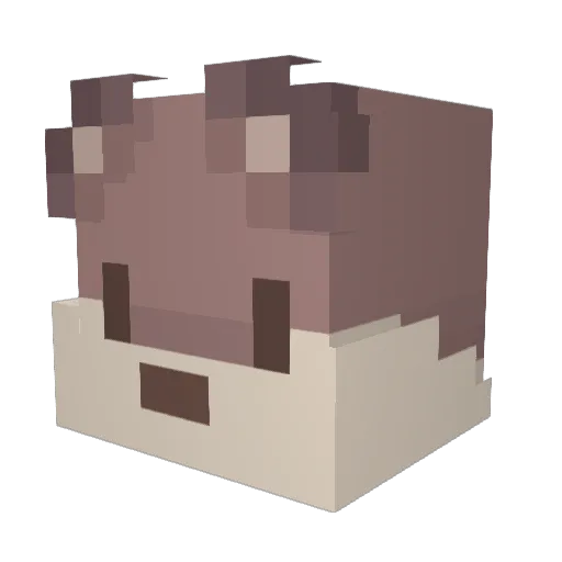 himithyko Minecraft avatar head, 3D render