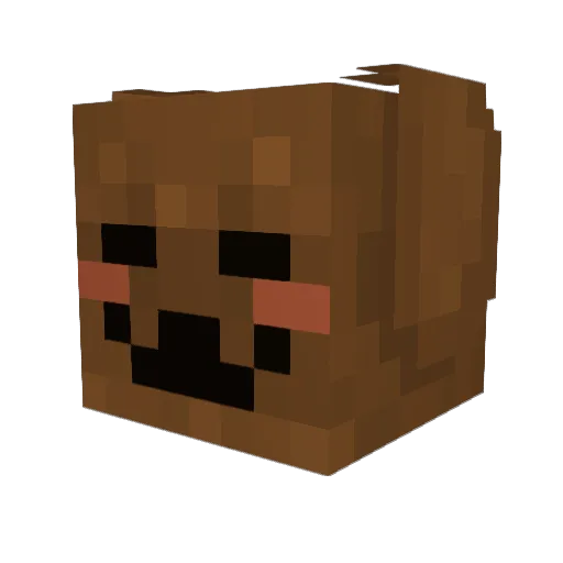 hinako_supremacy Minecraft avatar head, 3D render