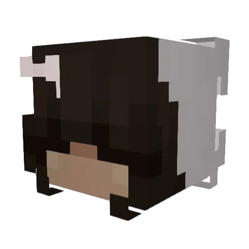 hinamegu_ Minecraft avatar head, 3D render