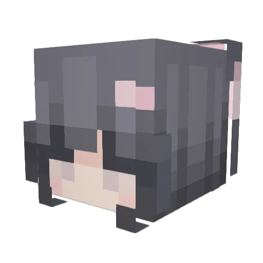 hinasakie Minecraft avatar head, 3D render
