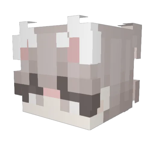 hinbon Minecraft avatar head, 3D render